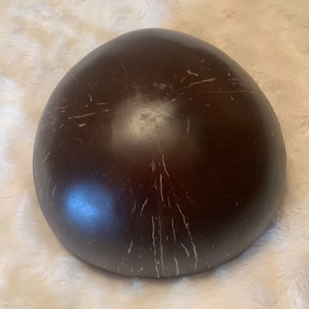 Bowl Hand Crafted Sea Shell and Coconut Shell - Picture 3 of 6